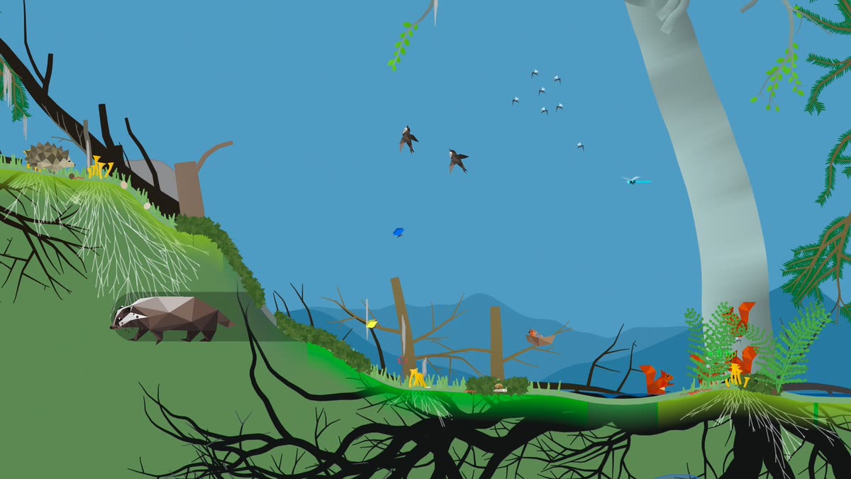 A badger and birds sharing a forest habitat