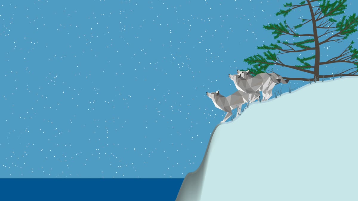 Wolves moving through a snowy PolyPine forest