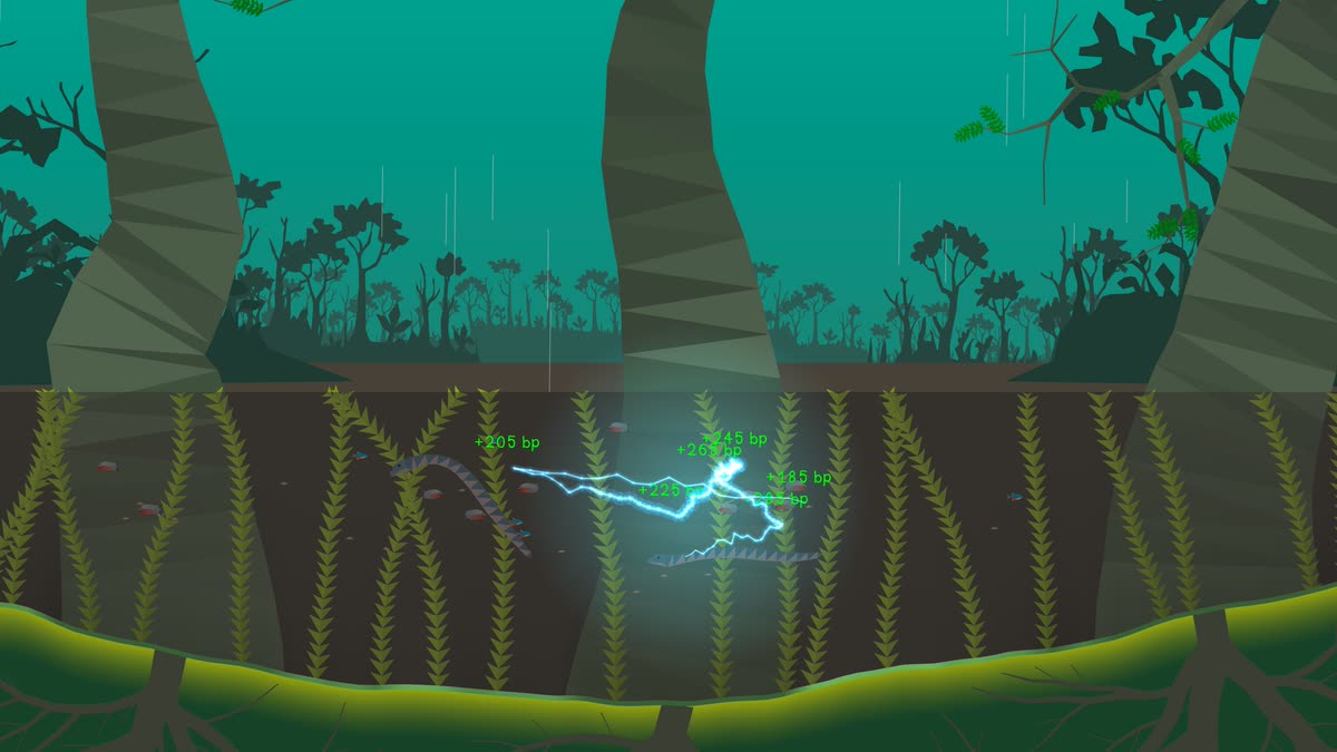 An electric eel in a blackwater channel